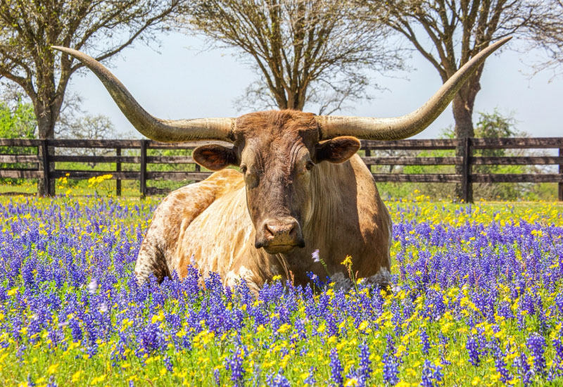 Austin, Texas