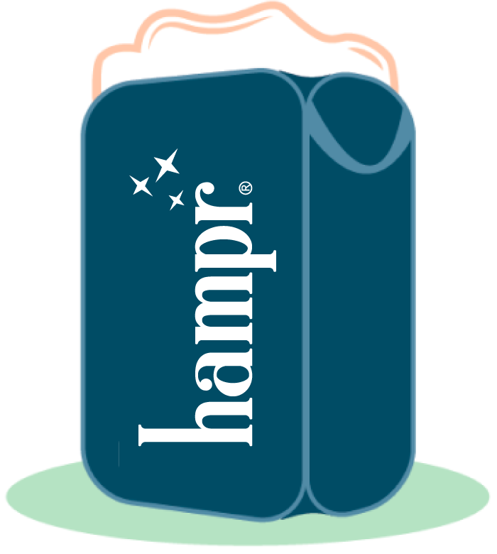 Hampr bin icon
